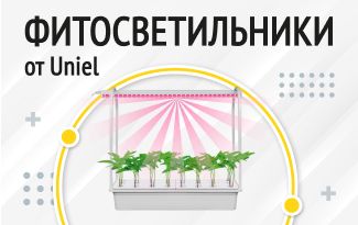 Новинка в каталоге Domax.by — Фитосветильники