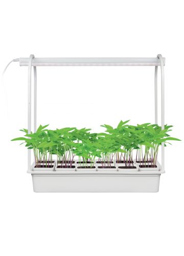 Набор "Минисад" светильник для растений Uniel ULT-P34-10W-SPBR светодиодный с подставкой, спектр для рассады и досвечивания в период роста, 12 кашпо, IP20